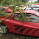 Imagen para el artículo titulado En este campo hay una flota de Ferraris abandonados desde hace una década, y no es un caso único